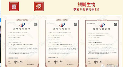 bg大游生物 | 核心平台技术获得中国发明专利