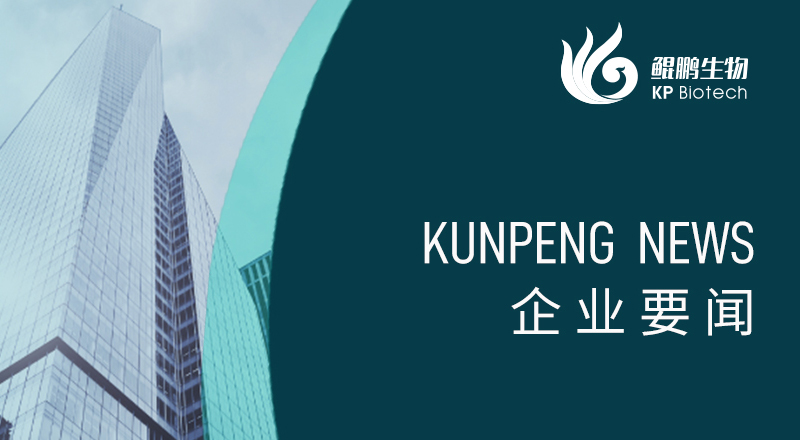 科技引领 “兔”显创新——宁波bg大游荣获“高新技术企业”及“创新型中小企业”认定