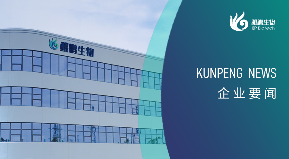 宁波bg大游新添两项政府荣誉认定 创新发展再获认可