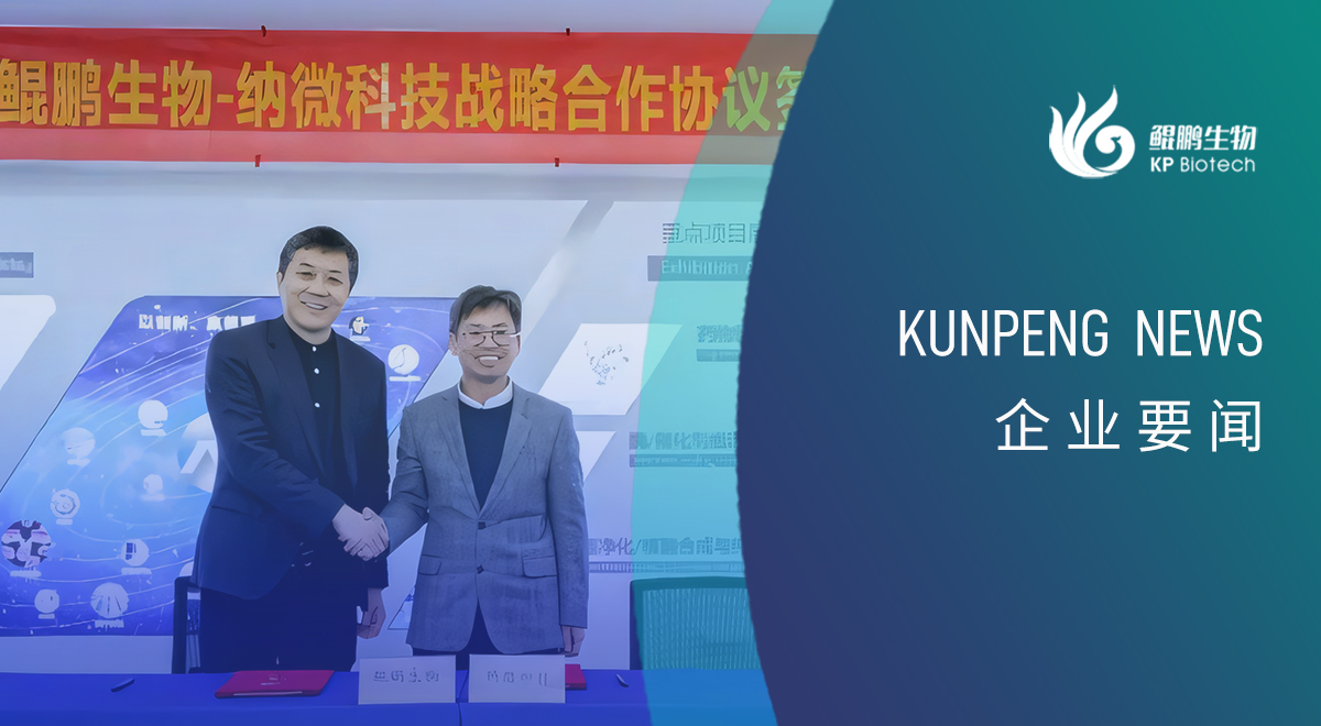 bg大游生物与纳微科技达成战略合作：深耕底层技术的双向奔赴